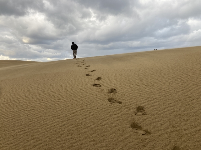 鳥取県の風景：鳥取砂丘